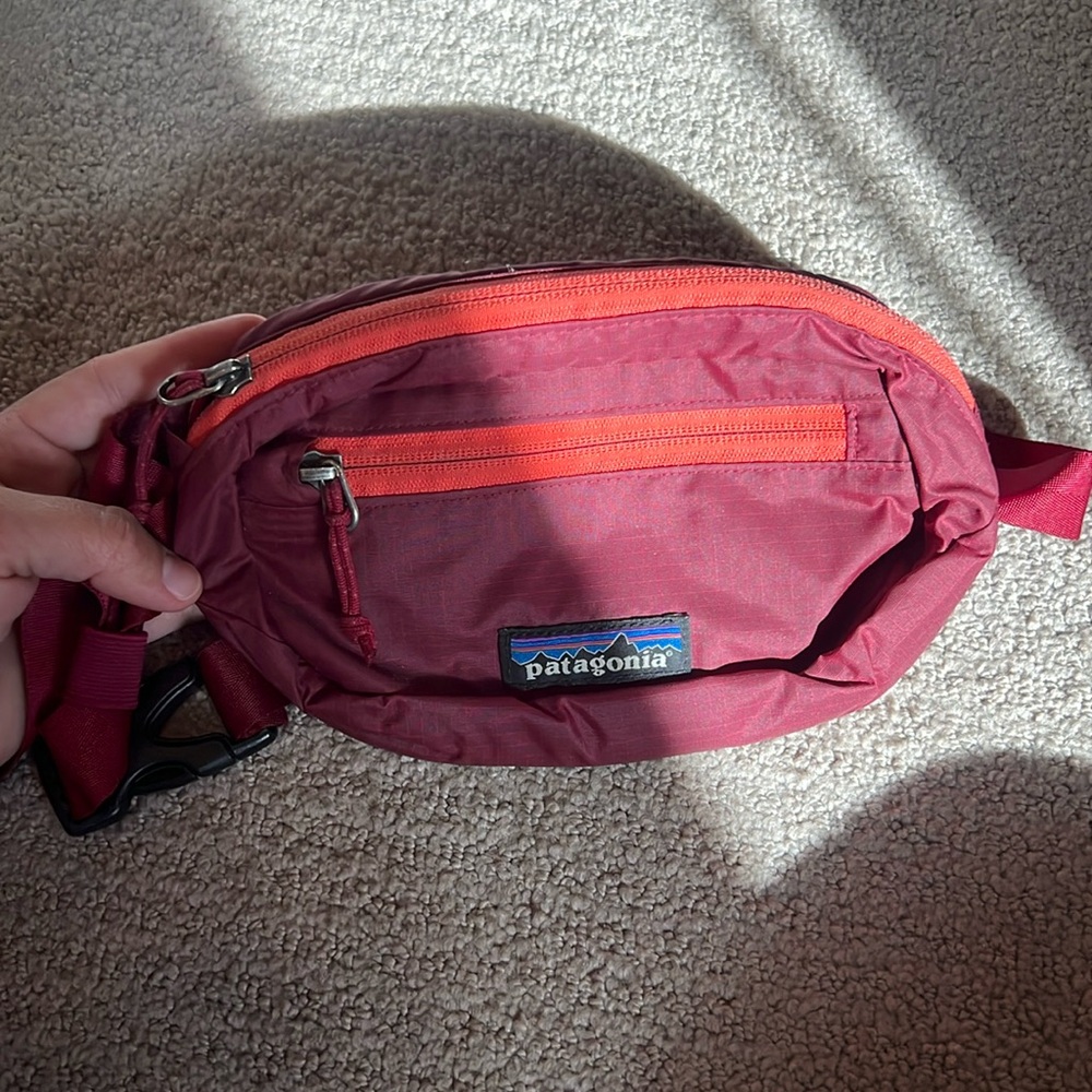 Patagonia Hip Pack